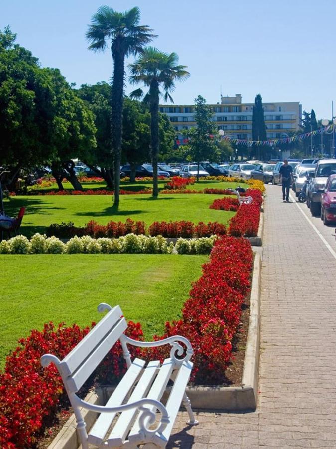 Studio Apartment Blue Window Biograd Na Moru Dış mekan fotoğraf