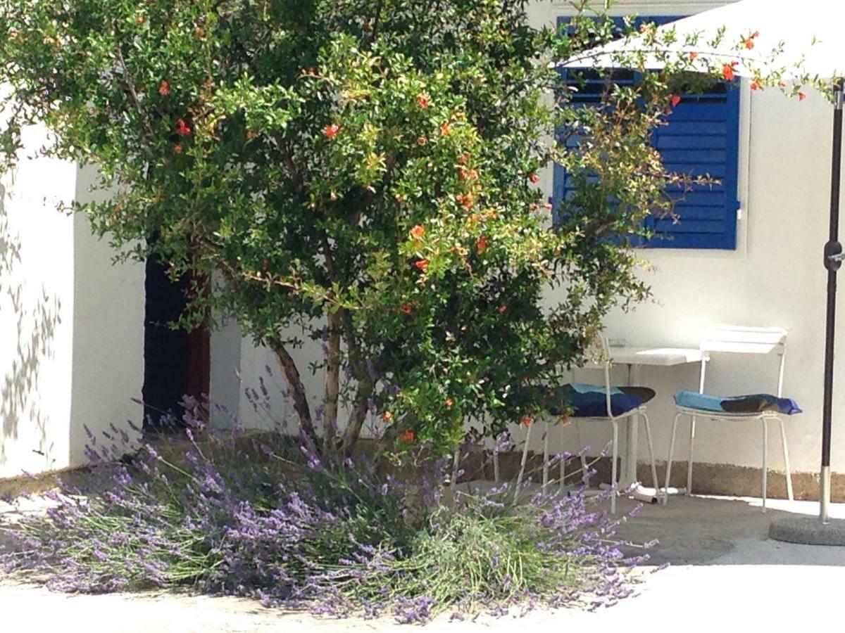 Studio Apartment Blue Window Biograd Na Moru Dış mekan fotoğraf